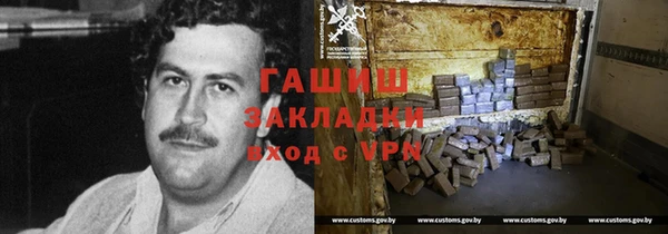 прущие грибы Дмитровск