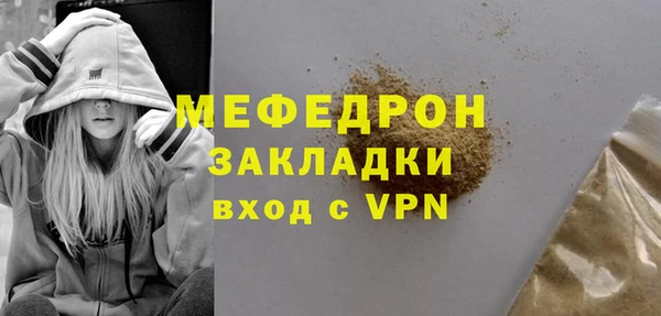 тгк Дмитриев
