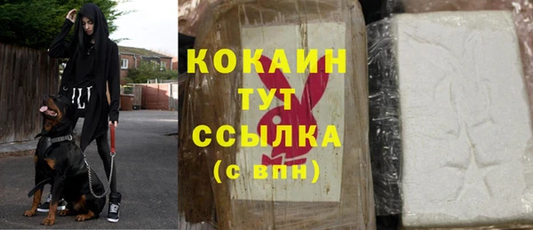 дживик Беломорск